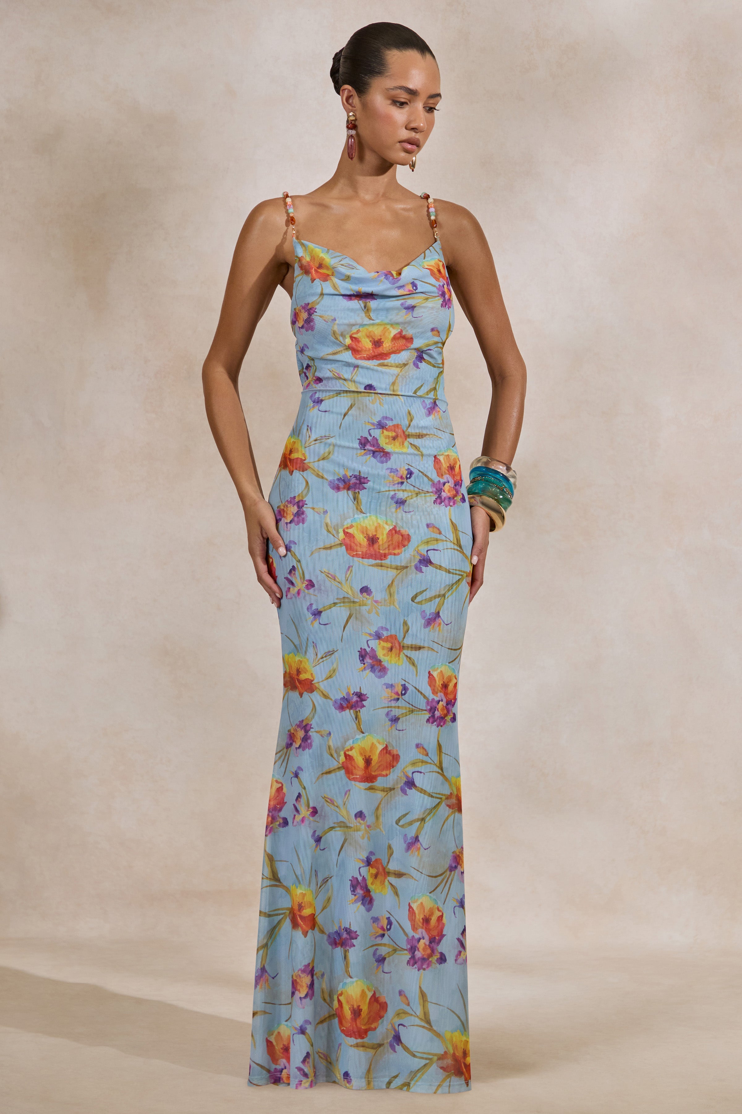 Raisa | Blue Floral Mesh Cowl-Neck Maxi Dress
